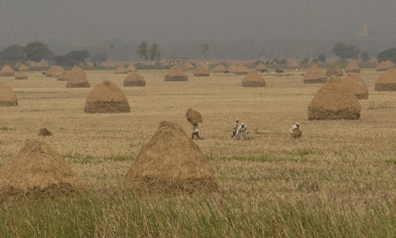 Land acquisition proposal: Road developers cautious as going may get tougher