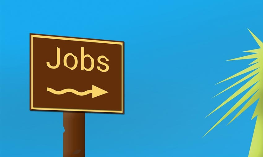 More jobs on the cards: Artificial Intelligence to create new jobs, says report