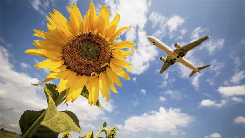 SBI Card vs HDFC vs Axis vs RuPay Card: Get the best of airfare deals