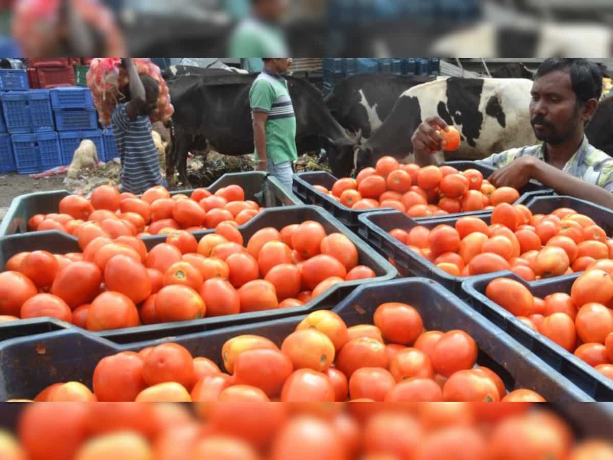 India&#039;s retail inflation eases at 3.69% in August