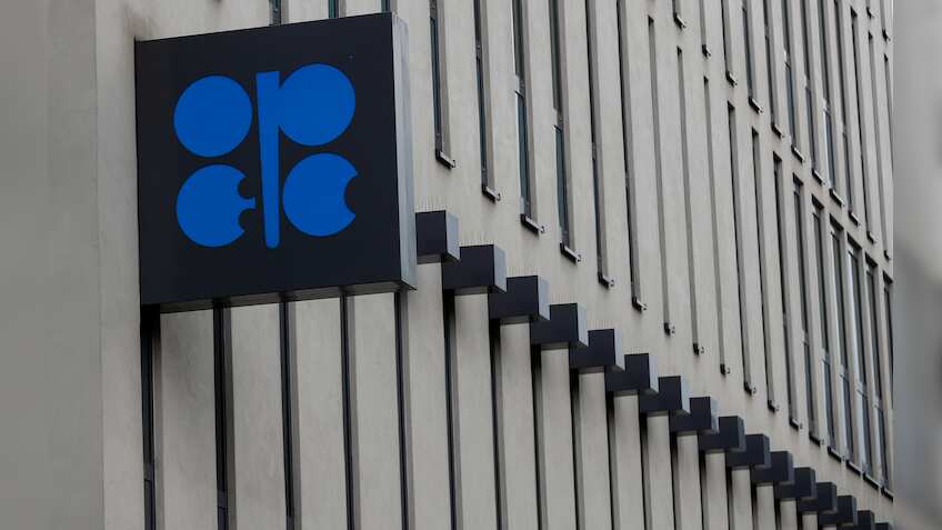 OPEC sees slower 2019 global oil demand growth, warns on economy