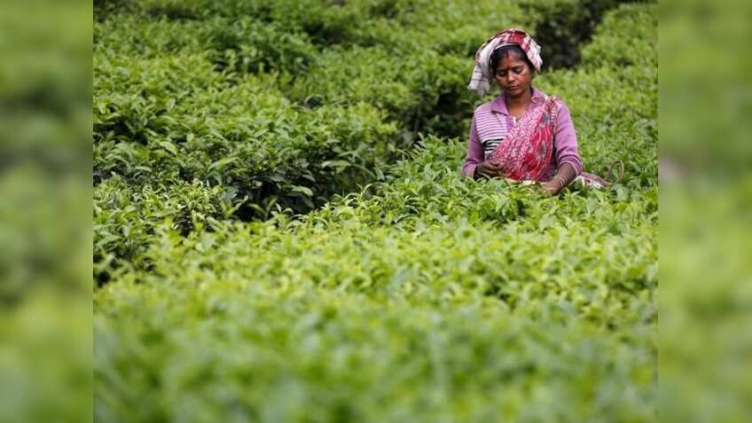Williamson Magor Group firm McLeod Russel to sell 2 tea estates in Assam to Goodricke Group