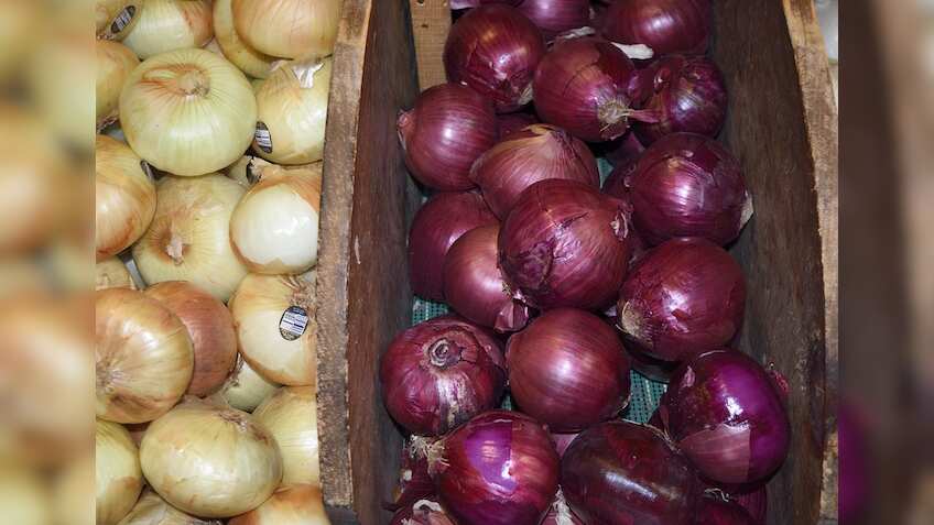 Onion prices crash, farmers forced to sell at rock bottom prices; you can buy at just Rs 5/kg