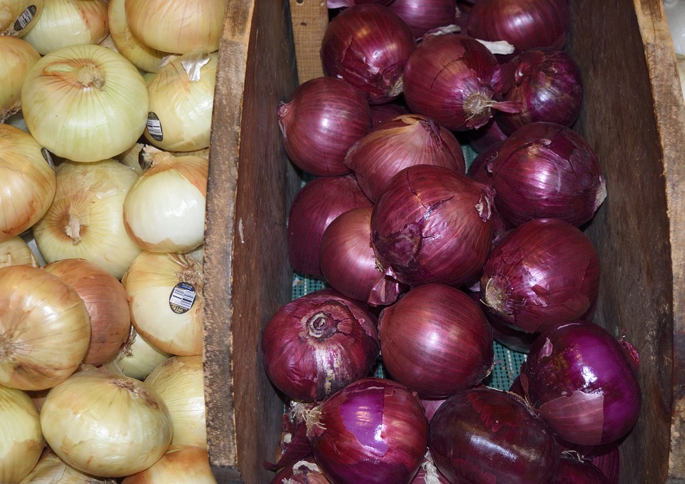 Onion prices crash, farmers forced to sell at rock bottom prices; you can buy at just Rs 5/kg