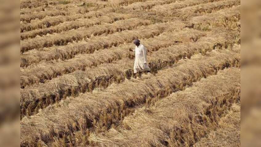 Maharashtra agri task force urges Arun Jaitley for bailout package for farmers