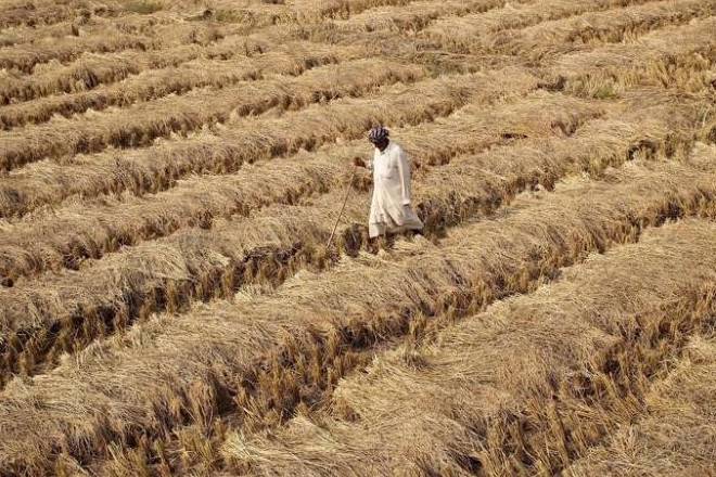 Maharashtra agri task force urges Arun Jaitley for bailout package for farmers