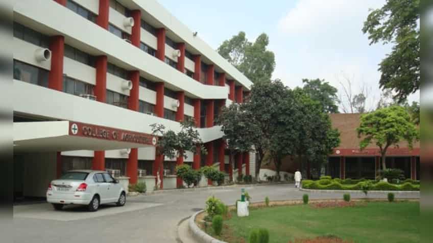 CCS HAU Recruitment 2018: Apply for 334 vacant posts before October 4 at hau.ac.in