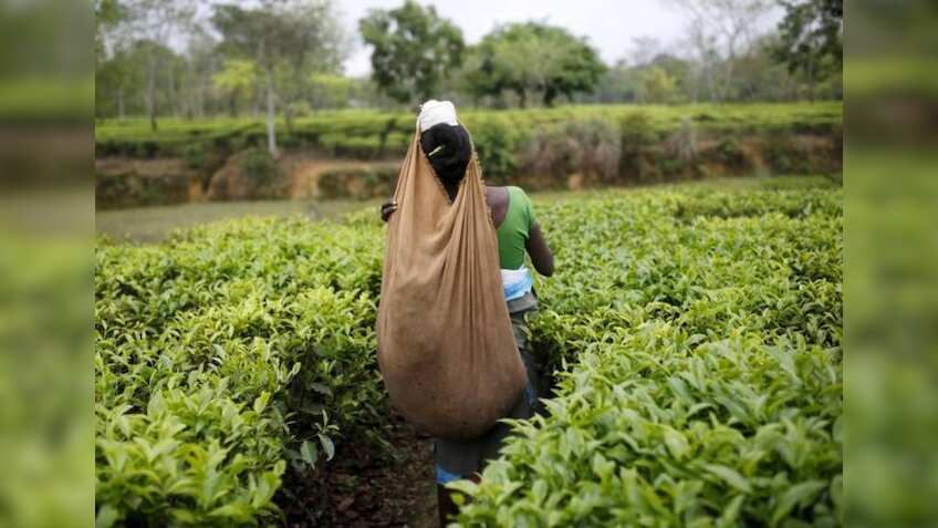 This govt announces bonus for workers; here are details