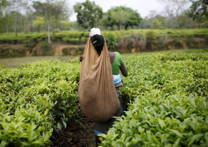This govt announces bonus for workers; here are details