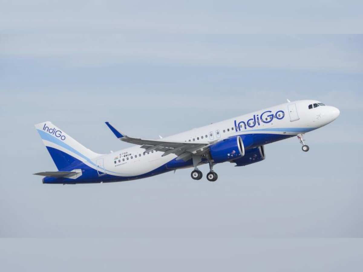 What went wrong with Indigo? The share price
