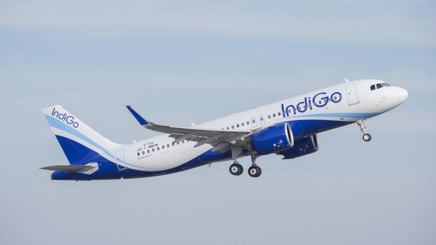 What went wrong with Indigo? The share price