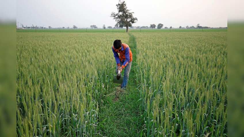 Monsoon normal in India, but agri income set to be hit; farmers may not benefit fully