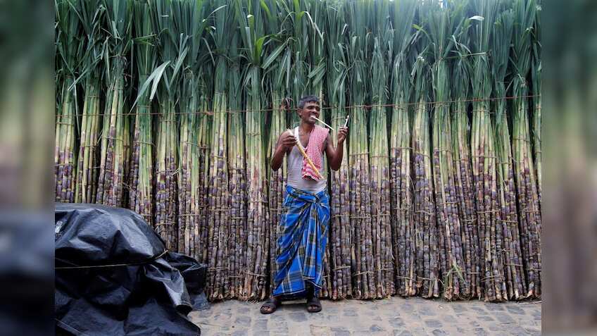 Sugar mills worry over surplus, talk of 'industry collapse'