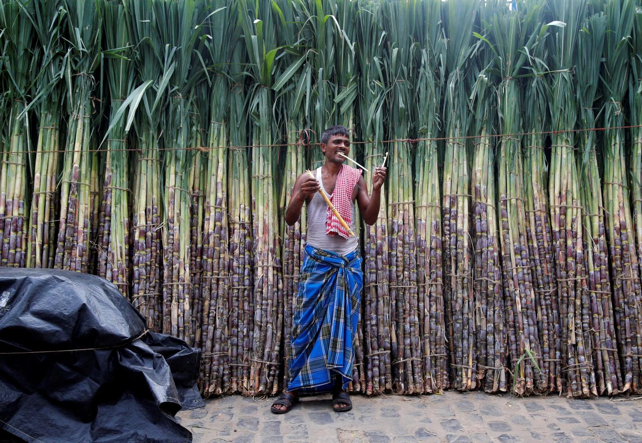 Sugar mills worry over surplus, talk of 'industry
