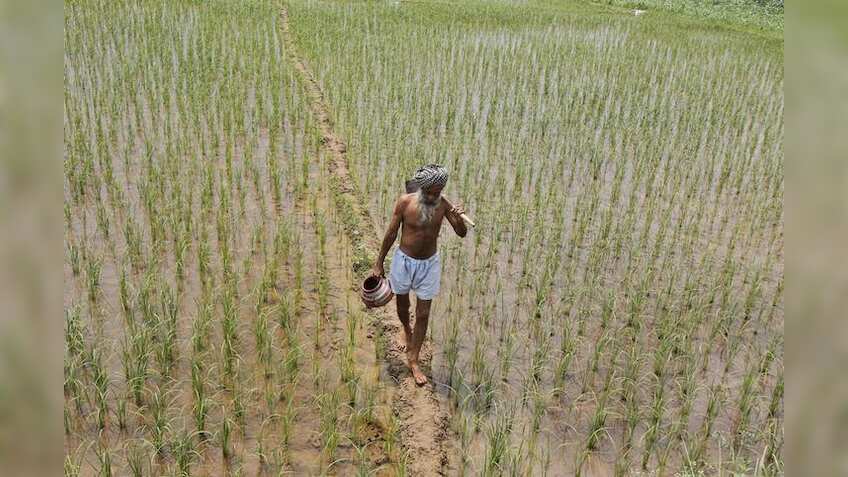 Punjab to give unique number to plots of land to prevent frauds