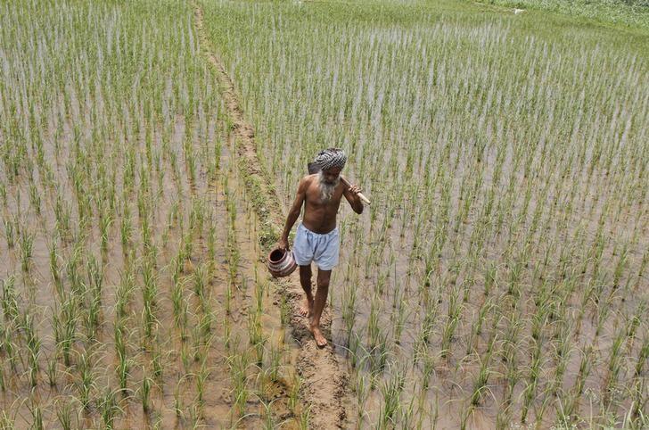 Punjab to give unique number to plots of land to prevent frauds