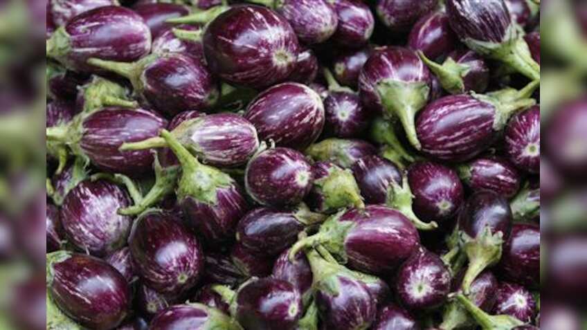 Decision to seek info from Bangladesh on effect of Bt Brinjal commercial release unacceptable: Activists