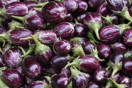 Decision to seek info from Bangladesh on effect of Bt Brinjal commercial release unacceptable: Activists