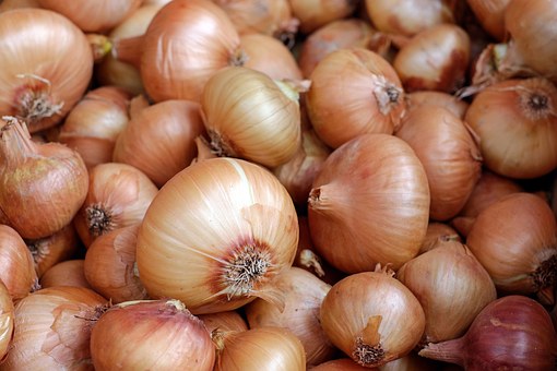 Why Onion prices may cross Rs 50-mark amid festivities