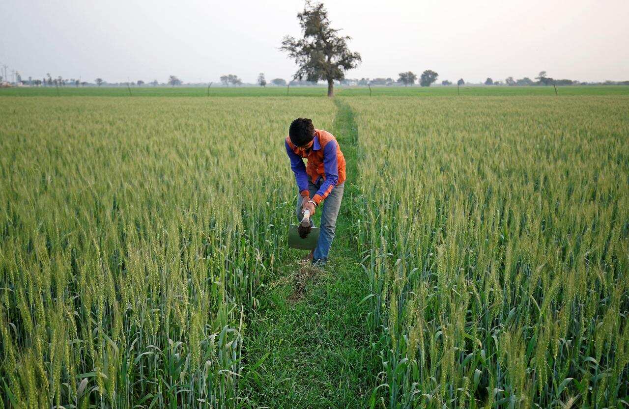 Good news for farmers! How India can more than double horticulture produce