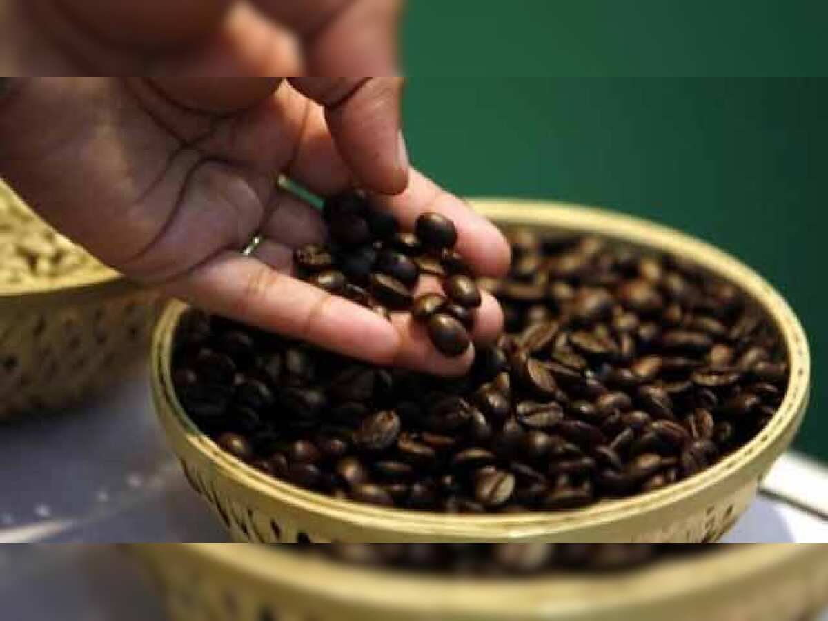 Tata Coffee Q2 net profit up 11.39pc