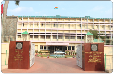 Recruitment 2018: Apply for Senior Research Fellow posts, last date Nov 17