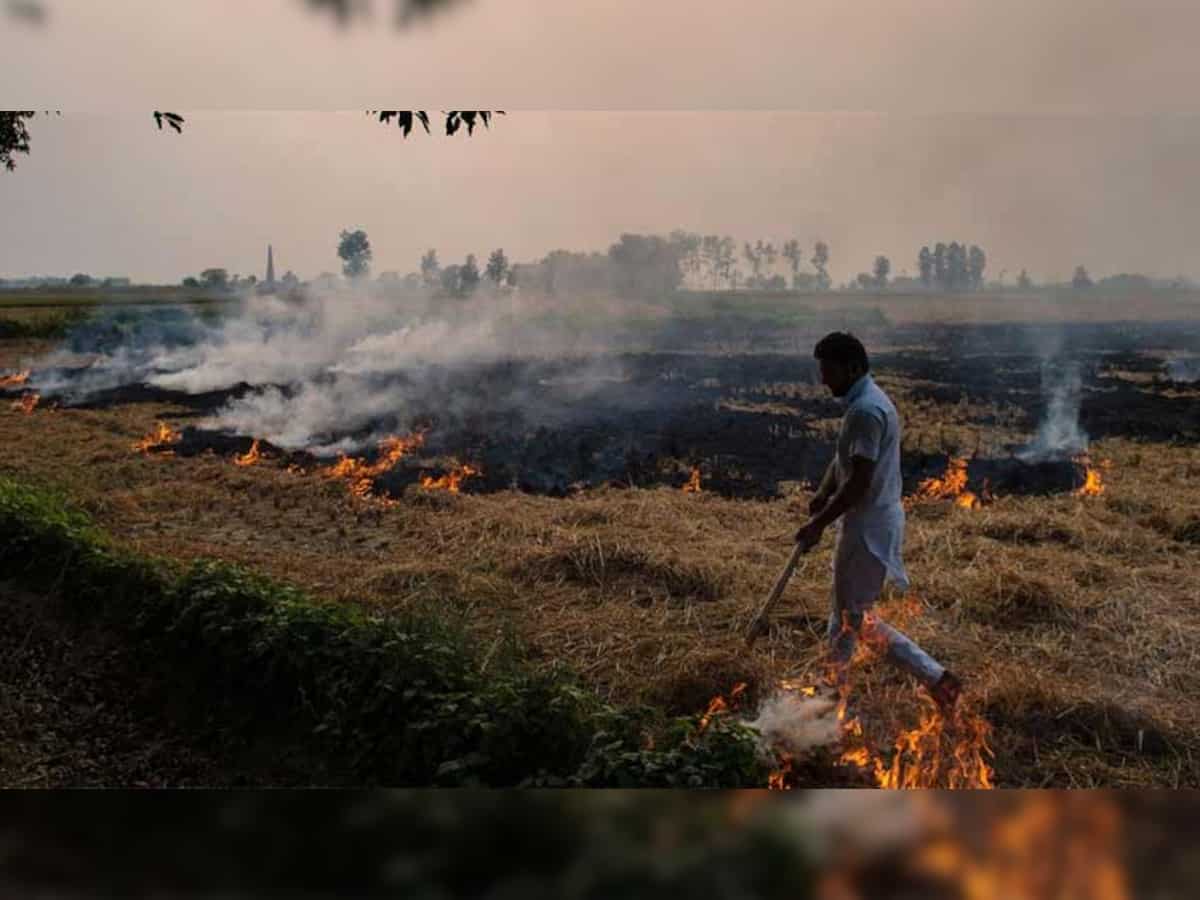 IKEA finds solution to stubble burning in Delhi