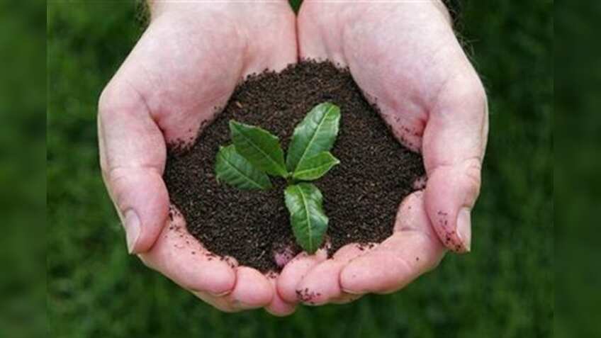 NGT allows construction of Noida hospital, but orders planting 1,500 trees for lost green cover