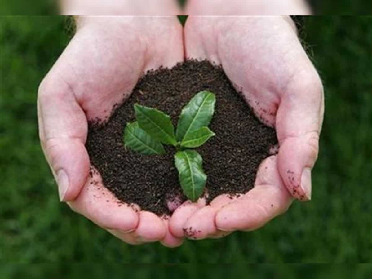 NGT allows construction of Noida hospital, but orders
