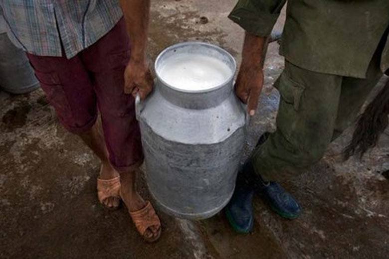 Good news for farmers! Milk output up 28% in last 4 yrs, earning up by Rs 7 per litre: Agri Min