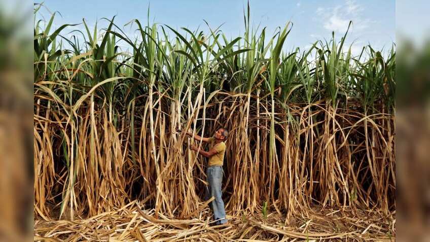  Sugar production in Oct-Nov inches up to 39.73 lakh tonne