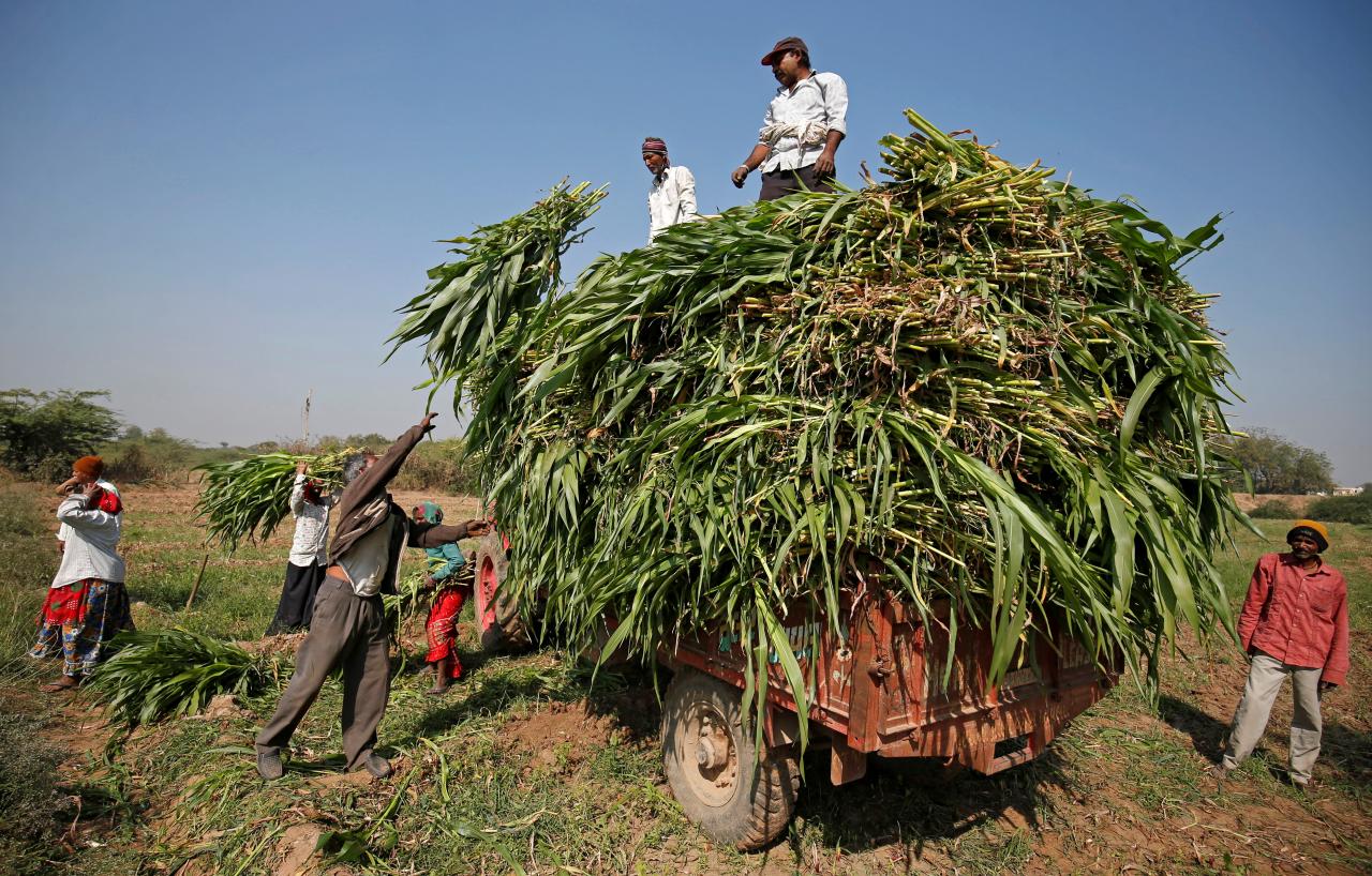 Agriculture crisis: Govt mulling farm package ahead of