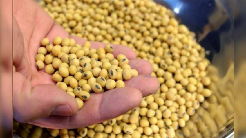 China bows down to US pressure, opens market for GM crops
