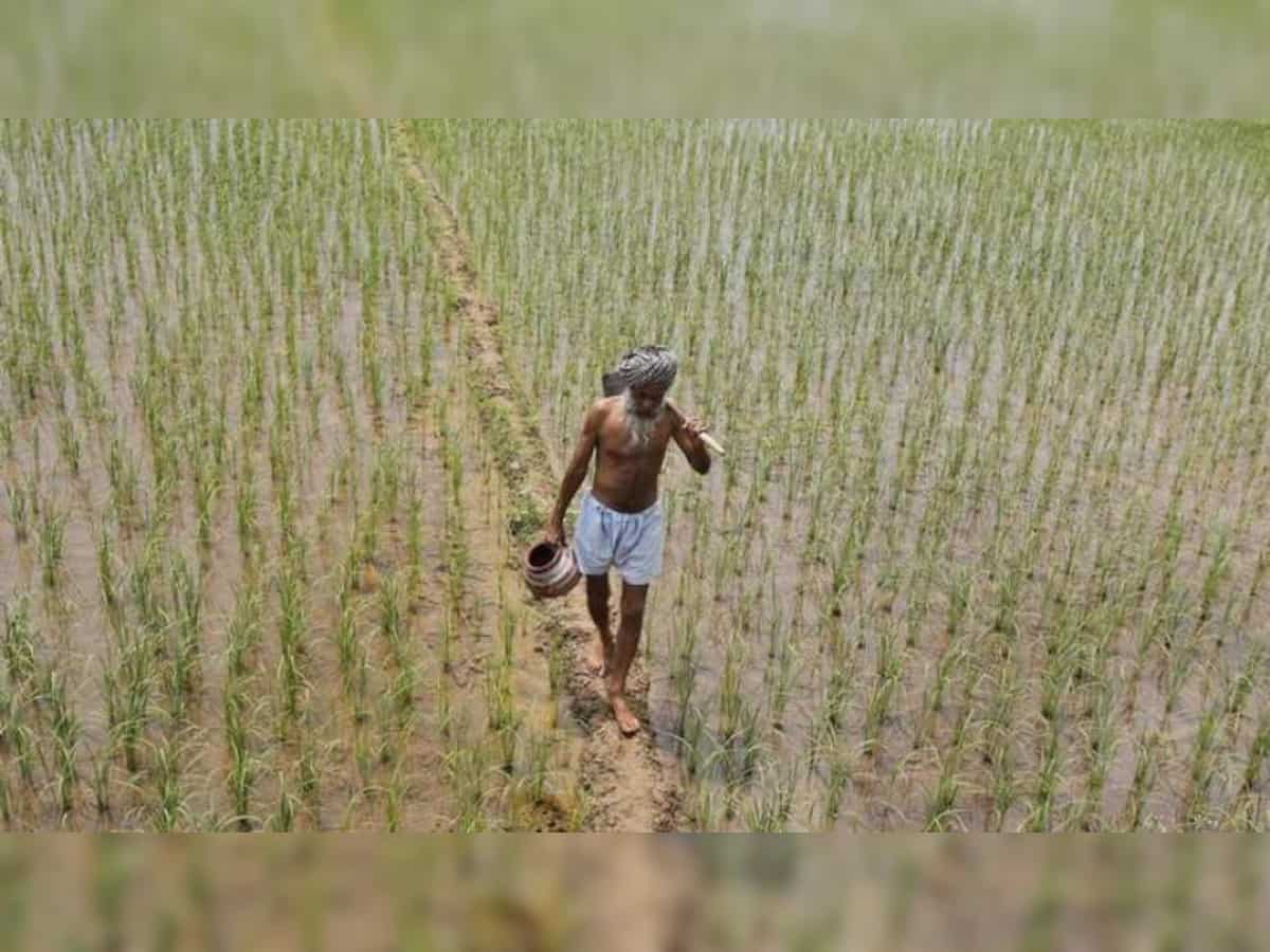 U.S. to seek comprehensive agriculture access in EU