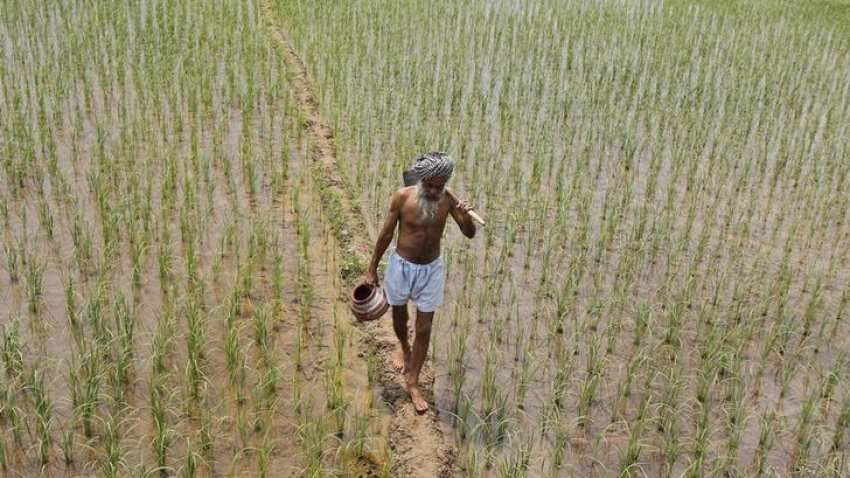 U.S. to seek comprehensive agriculture access in EU