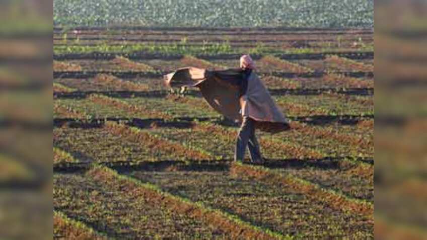 Investment support, interest free-loans likely in farm package