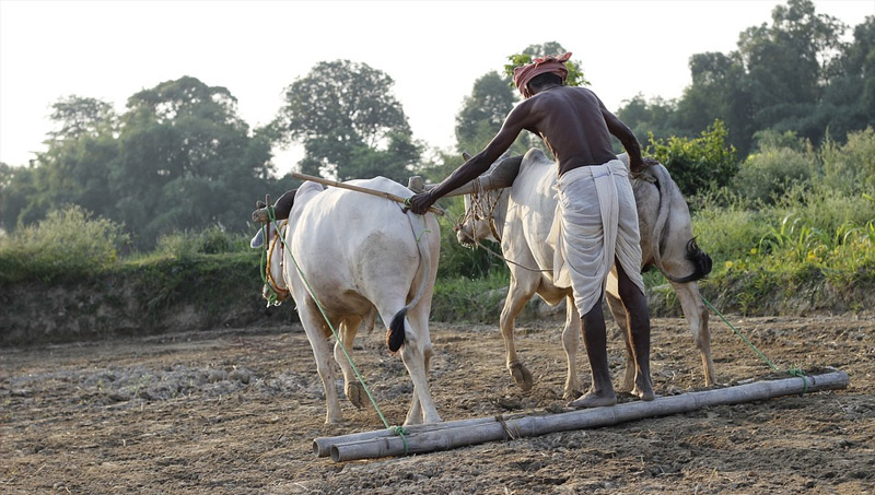 This farmer got Rs 13 loan waiver in Madhya Pradesh