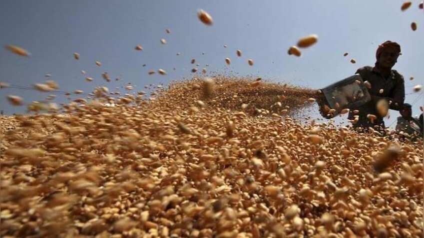 Wheat production may cross record 100 MT in 2018-19