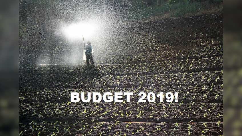 Budget 2019 expectations: What fertiliser sector wants from Modi govt