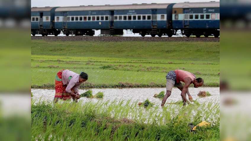 Pre-Budget relief package? Farmers may get interest-free loans, premium-free insurance