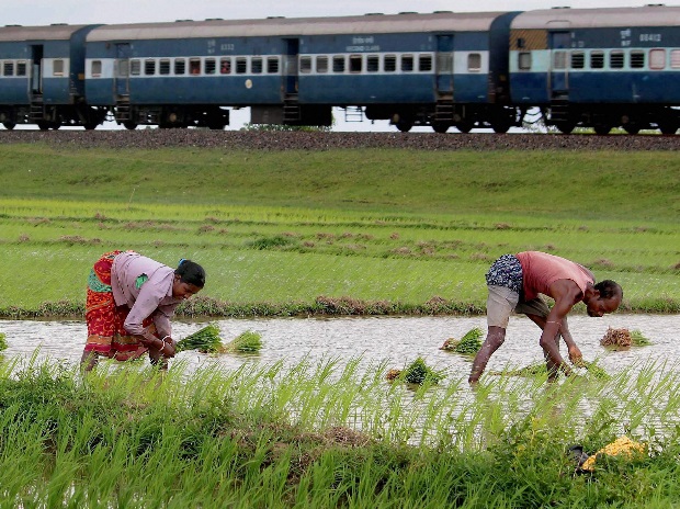 Pre-Budget relief package? Farmers may get interest-free loans, premium-free insurance