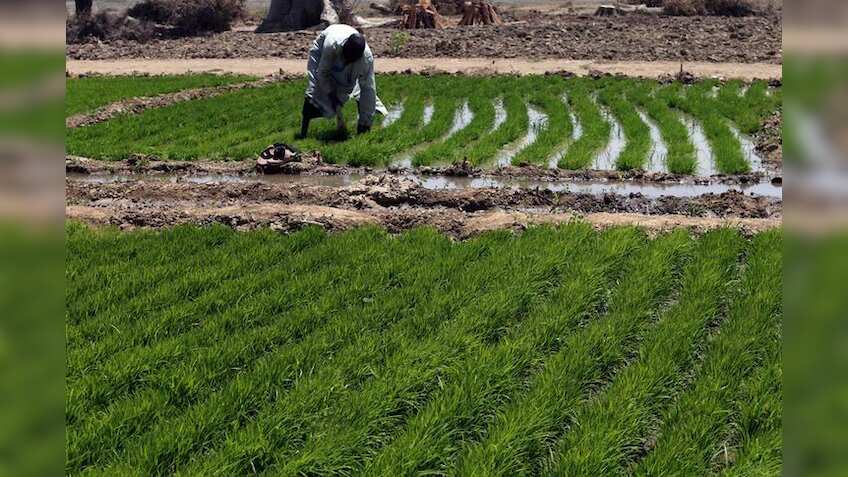 Budget 2019: Big decision for farmers! Rs 6000 to be directly transferred to bank accounts