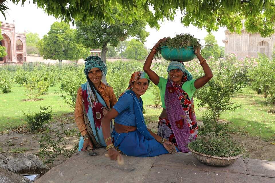 Budget 2019: Piyush Goyal announces allotment of Rs 60,000 crore in MGNREGA; what farmers should know 