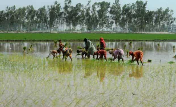 Tax measures, farmer's compensation to boost consumption: Report