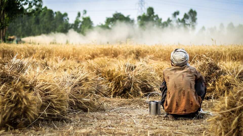 Implementing farmers' income plan major challenge: Experts