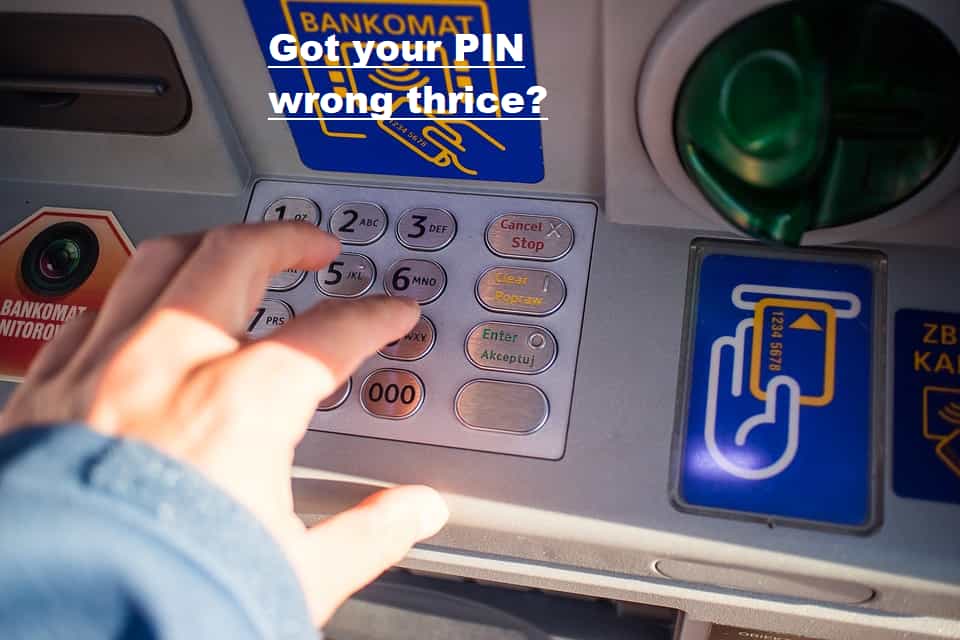 Pin on Everything You Need to Know and Then Some