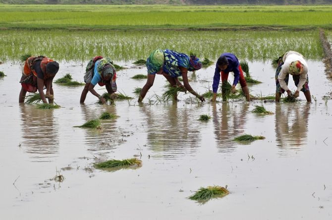 Modi government wants to roll out farmers' income scheme before code of conduct sets in