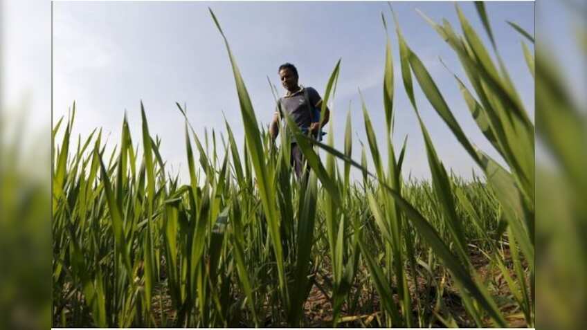 Government plans to launch ease of doing agri-business index