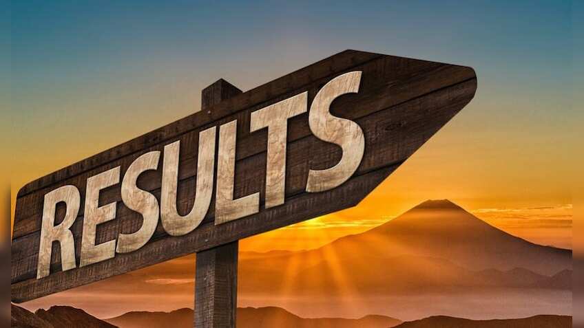 IBPS SO MAINS Result 2019 declared at ibps.in Indian Institute of Banking Personnel Check now