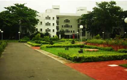 IIM Calcutta achieves 100% placement  